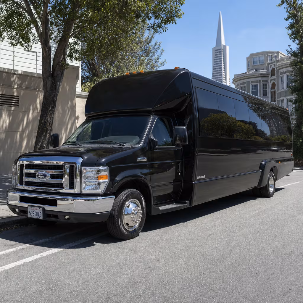 20 Passenger Party Bus